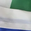 Ucrania Fan Flag Bunting Factory Supply Polyester Half Banner con arandelas de latón para la decoración exterior al aire libre