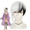 Party Supplies DrStone Asagiri Gen Cosplay Wig Unisex Anime Character Headgear Black And White Mixed Short Hair Wigs Cap3724813