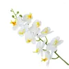 Fiori decorativi 98 cm Lattice 9 teste Orchidea farfalla artificiale 29 colori Grandi dimensioni Phalaenopsis finta Silicone PU Real Touch Wedding Home