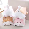 3555Cm Mignon Graisse Shiba Inu Chien Câlin En Peluche Doux Kawaii Animal Belle Bande Dessinée Oreiller Pour Ldren Bébé Ldren Cadeaux D'anniversaire J220729