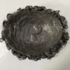16 mm Curl Grey Kolor Brazylijskie dziewicze ludzkie włosy Wymiana 8x10 Włosy Włosy Pełne PU -Toupee SKÓR SKÓRK
