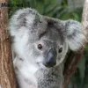 1317 cm super schattig kleine Koala knuffel speelgoed avontuur koala poppen verjaardag kerstcadeau voor kinderen J220729