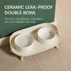 Cat Bowls مغذيات طاولة طعام الحيوانات الأليفة ثنائية التغذية الرقبة حماية السيراميك Nonslip للكلاب ماء الغذاء تغذية 221109