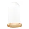 Vaser Clear Glass Display Dome med LED Wood Base Microlandscape Miniature Dollhouse Diy Holder Flower Preservation Vase 210409 Drop DH8Q9