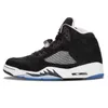 Chaussures de basket-ball Hommes Baskets Sports de plein air Baskets Jeu de la grippe Twist Stone Blue Alternate Grape Men Jumpman 5S Bluebird Oreo Eur 40-47