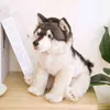 38Cm Cute Simulation Wolf Plush Toys Wolf Dog Kids Dolls Lifelike Stuffed Pet Soft Anime Decor Collection Toys For ldren Kids J220729