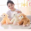 1825 cm Kawaii Plush leżąca symulacja owiec zabawki przytulały lalki jagnięce super miękkie dziecko dla dzieci sleep lalch zabawny prezent j220729