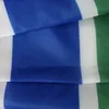 Ukrânia Fan Bandle Bunning Factory Supply Polyester Half Banner com ilhós de latão para decoração de ar livre em interior