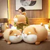 1PC 355070CM Śliczne grube Shiba inu Pluszowa zabawka Kreskówka Animal Poduszka Piękna lalki dla psów nadziewana miękka poduszka Kawaii Prezent dla dziecka J220729