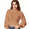 Vintage tr￶jor Autumn and Winter Turtleneck Pullovers Basic Knit Tops Pull Femme Short Tops Long-Sleeve tr￶ja toppkvinnor
