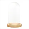 Vaser Clear Glass Display Dome med LED Wood Base Microlandscape Miniature Dollhouse Diy Holder Flower Preservation Vase 210409 Drop DH8Q9