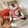 Collari per cani INS Mesh Pettorina per animali domestici Guinzaglio Set per piccole e medie labbra rosate Guinzagli per frenchie Carlino Labbra rosse Gilet estivo