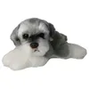 Kawaii Schnauzer Dog Cuddle Mini Soft Simulation Kids Cuddly Toy For Ldren Söta foto Props Baby Birthday Present J220729