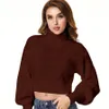 Vintage tr￶jor Autumn and Winter Turtleneck Pullovers Basic Knit Tops Pull Femme Short Tops Long-Sleeve tr￶ja toppkvinnor