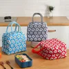 Bolsa de refrigerador portátil Pacote de gelo isolado Sacos de piquenique com alimentos térmicos Pouch Multi-Pattern