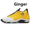 14 14s Laney Men Basketball Shoes Ginger candy cane Winterized Fortune gym red Blue desert sand defining moments Black Toe Hyper Royal mens sports Trainers sneakers