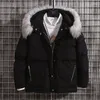 Heren down winter met katoen met katoen gekleurd man kleren hong kong-stijl capuchon plus bont kraagjack paar studenten losse mode casual warme jas