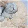 Letti per gatti Mobili Rotondo Lungo Peluche Letto per gatti Casa per animali Tappetino morbido Cane per cani di piccola taglia Cuccia per cuccioli Nido per gatti Drop Delivery Home Dhh5K