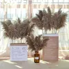 Flores decorativas, 7 piezas, hierba de Pampa seca Natural, Phragmites Communis para boda, ramo de flores, decoración del hogar, artesanía DIY, decoración seca