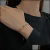 Pulseiras de charme charme pulseiras americanas cadeias de metal tassel minimalismo cor dourado feminino bracelete jóias de jóias douradas bangl dhfqf