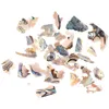 Nail Art Decorations Abalone Fragments Natural 3D Shell Dyed Fragment Gel Polish Nails Arts Decoration Accessories Decoraciones De Unas