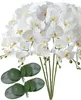 Flores decorativas 5pcs orquídea artificial Phalaenopsis 80cm Fake Buttefly for Decoration