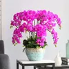 Fleurs décoratives 5pcs fleur d'orchidée artificielle Phalaenopsis 80cm faux papillon pour la décoration