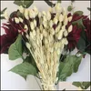 Gedroogde bloemen 80-stcs Gedroogde phalaris bloem bewaard wit roze groen-gele natuurlijke planten bruiloft Decor Home Grass y0234a drop deliv dhx3m