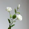 Fleurs décoratives 3 Pcs 3 fourches Eustoma Fleur Sentir Hydratant Lisianthus Faux Intérieur Décor À La Maison Azalée Fête De Mariage Po Props