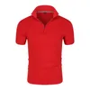 Summer Quick Dry Men's Golf Breathable Polo Shirts Business Casual Short Sleeve Tops Fit Golf Wear Men's Lapel T-Shirts