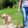 Hundhalsar Bindning av kabel 3 meter bindning för hundar upp till 100 kg 3m koppel camping bakgård utomhusaktiviteter