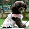 Abbigliamento per cani Abito da principessa per animali domestici Autunno inverno caldo gilet di peluche Decorazione di gioielli Abiti firmati di lusso Cappotto per piccoli gatti Maglione chihuahua