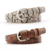 Belts 2022 Gold Silver Thin Skinny Red Tan Snake Skin Belt Waistband Ladies Pu Leather Strap For Women Jeans Cinto Feminino