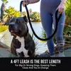 Hundhalsar Tungt och tull koppel 120 cm H￥llbar nylonfl￤tad promenad f￶r medelstora stora hundar Petvalptraktion rep