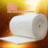 Blankets Aluminum Silicate Needle Blanket Ceramic Fiber Insulation High Temperature Boiler Cotton Refractory Trendy