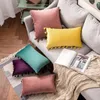 Pillow Solid Velvet Home Decor Cover With Tassels Decoration Pink Grey Velour Sofa 30X50CM/50X50CM/45X45CM