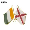 Irlande amitié épinglette drapeau badge broche broches insignes 10 pièces par Lot