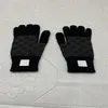 Ny 2023 Autumn Solid Color Gloves European American Designers for Men Womens Touch Screen Glove Winter Fashion Mobile Smartphone Five Finger Mittens