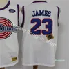Hommes LeBron 23 James Basketball Jersey Vintage Tune Squad Looney Tunes Cousu St. Vincent Mary High School Irlandais Violet Jaune Whit