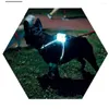 Dog Collars USB Charging/Bettery Led Collar Anti-Lost/Avoid Car Accident For Dogs Luminous Fluorescent Pet Supplies