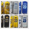 Hommes LeBron 23 James Basketball Jersey Vintage Tune Squad Looney Tunes Cousu St. Vincent Mary High School Irlandais Violet Jaune Whit