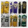 Hommes LeBron 23 James Basketball Jersey Vintage Tune Squad Looney Tunes Cousu St. Vincent Mary High School Irlandais Violet Jaune Whit