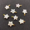 Charms 1pcs Colar de pingente de água doce natural de água doce Jóias estreladas Fazendo brincos de bracelete DIY Suprimentos para mulher Presente de mulher