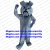 Costume de mascotte de chien bouledogue gris, taureau, Pit Bull Terrier, personnage adulte, circulaire, Flyer, cadeau classique, zx630