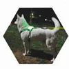 Dog Collars USB Charging/Bettery Led Collar Anti-Lost/Avoid Car Accident For Dogs Luminous Fluorescent Pet Supplies