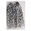 Shake and go zilveren krullen grijze paardenstaart kinky krullend human hair extension vrouwen grijze paardenstaart haarstukje paardestaart trekkoord clip in korte medium lengte 100g-140g