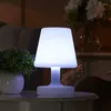 Lâmpadas de mesa LED LED recarregável lâmpada de mesa colorida pequena luz noturna para dormitório quarto de escritório decoração com carregador