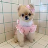 犬のアパレル夏夏のかわいいピンクの格子縞のローズバブルスカートレースショート服子犬ベストチワワヨークシャー