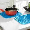 Masa Paspasları Silikon Pot Tutucu Isıya Dayanıklı Mat Trivets Pat Placemat Mutfak Araçları 22 16cm