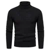 Men's Sweaters Mens Autumn Winter Sweater Pullovers Casual Knitted Wool Warm Turtleneck Long Sleeve Solid